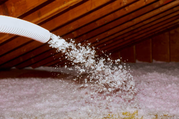 Best Insulation Maintenance and Repair in New Carlisle, IN
