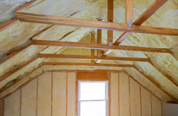 Best Geographic-Specific Insulation Services in New Carlisle, IN