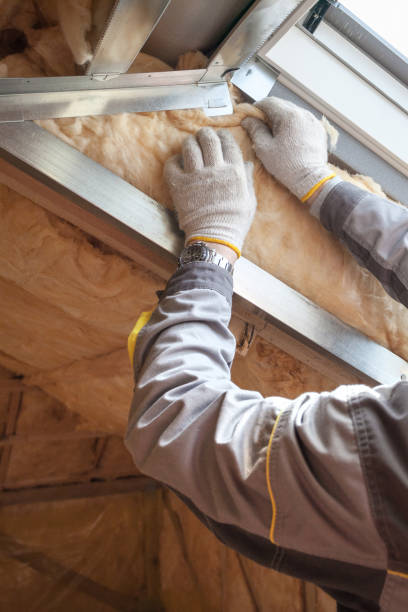 Professional Insulation Contractor in New Carlisle, IN
