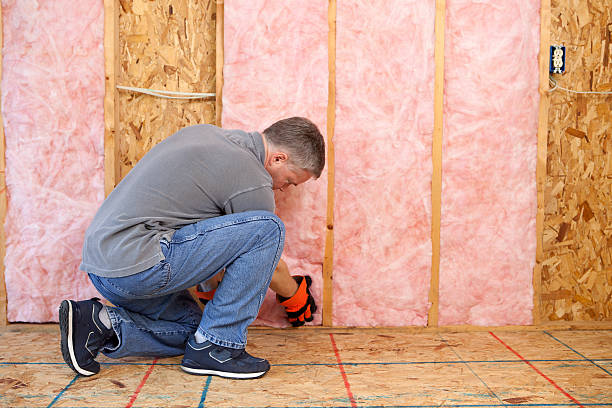 Best Insulation for Specific Applications in New Carlisle, IN